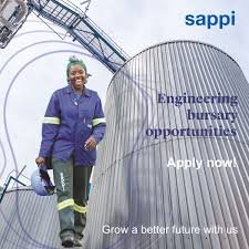 Sappi Engineering